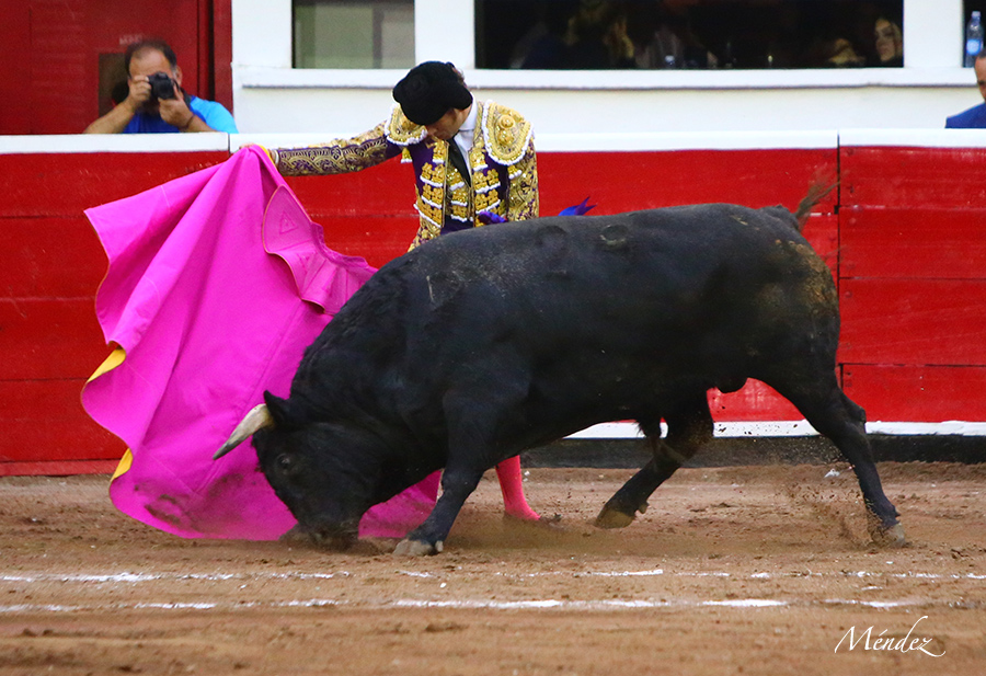Querétaro, sábado 19 de octubre de 2019