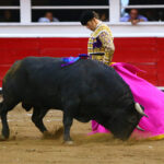 Querétaro, sábado 19 de octubre de 2019