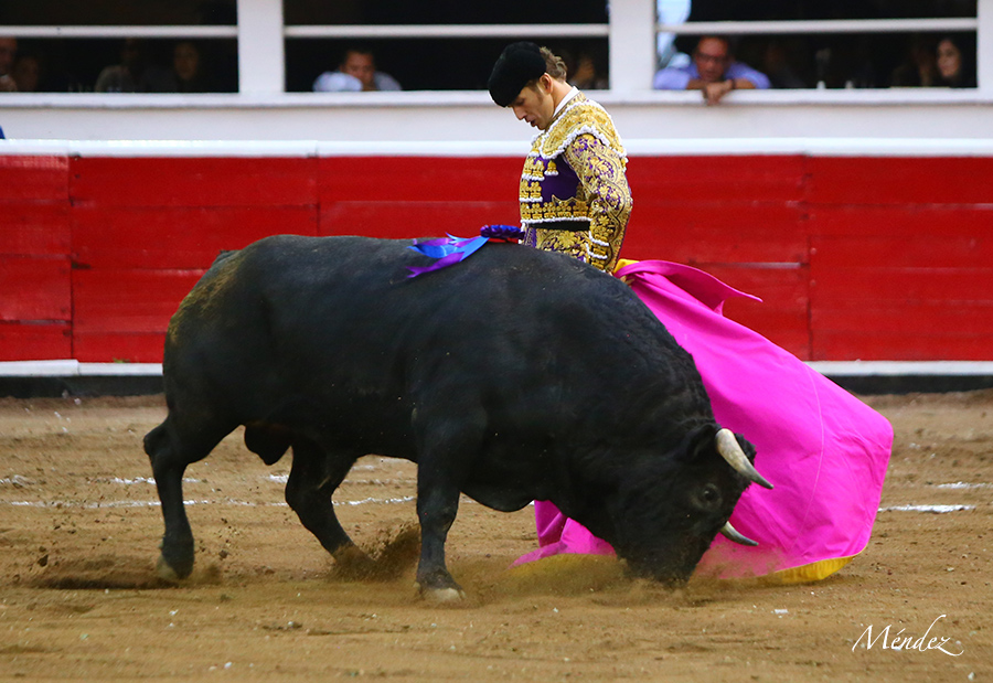 Querétaro, sábado 19 de octubre de 2019