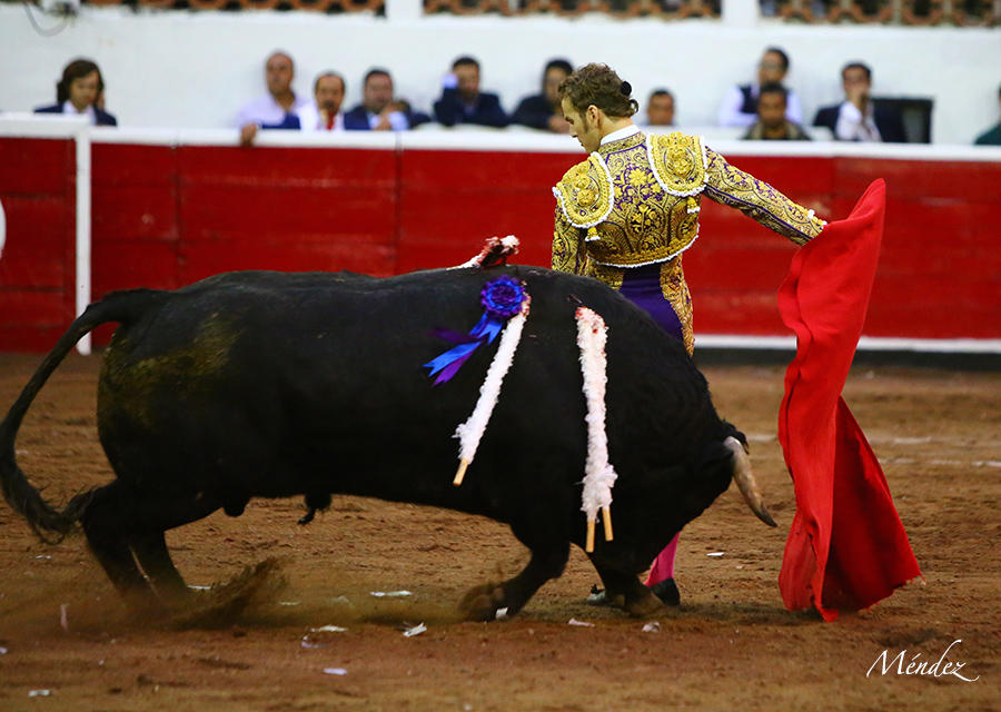 Querétaro, sábado 19 de octubre de 2019