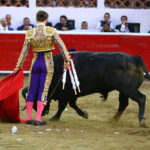 Querétaro, sábado 19 de octubre de 2019