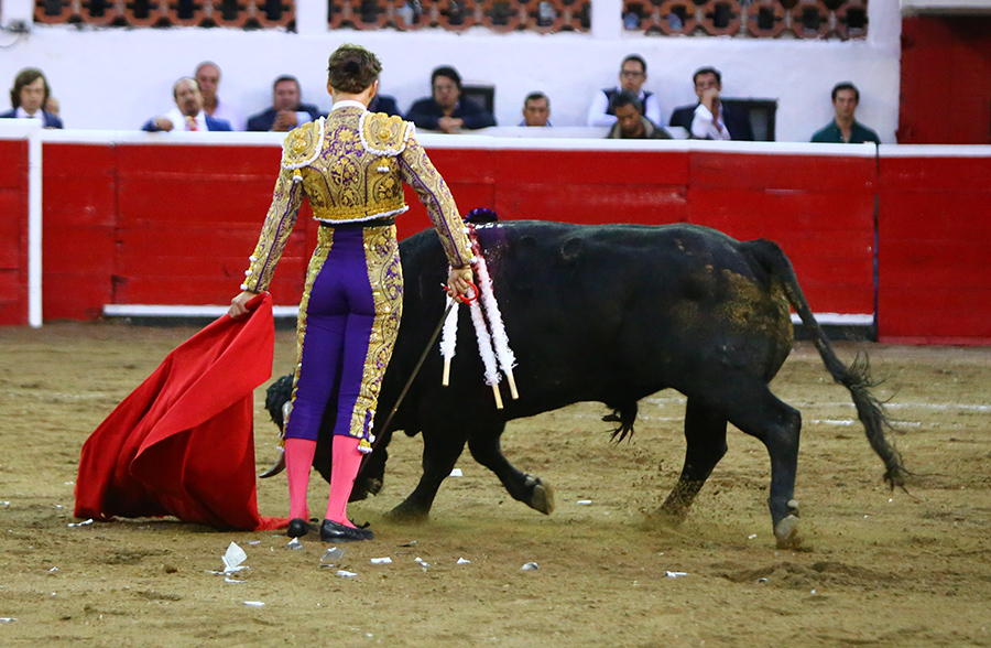 Querétaro, sábado 19 de octubre de 2019