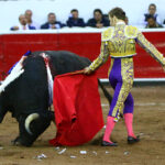 Querétaro, sábado 19 de octubre de 2019