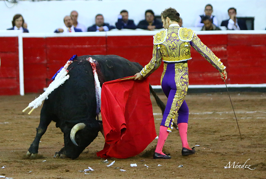 Querétaro, sábado 19 de octubre de 2019