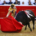 Querétaro, sábado 19 de octubre de 2019