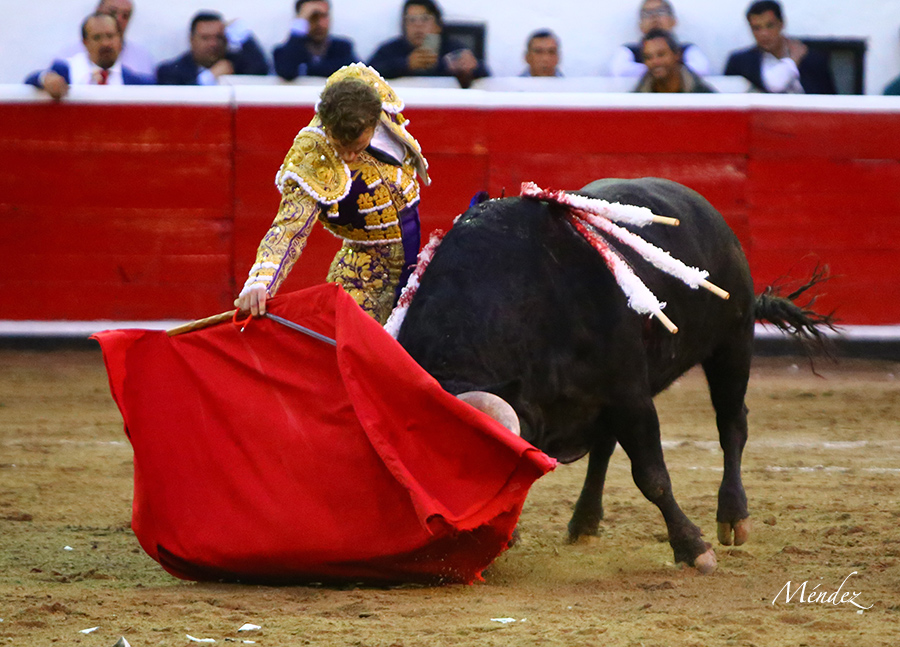 Querétaro, sábado 19 de octubre de 2019