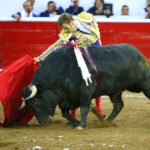 Querétaro, sábado 19 de octubre de 2019