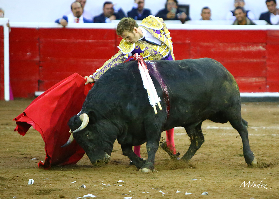 Querétaro, sábado 19 de octubre de 2019