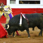 Querétaro, sábado 19 de octubre de 2019