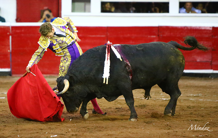 Querétaro, sábado 19 de octubre de 2019