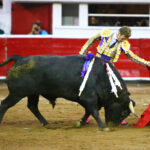 Querétaro, sábado 19 de octubre de 2019