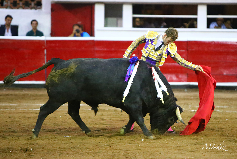 Querétaro, sábado 19 de octubre de 2019