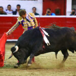 Querétaro, sábado 19 de octubre de 2019