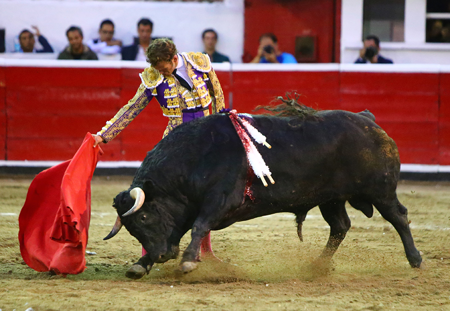 Querétaro, sábado 19 de octubre de 2019