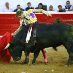 Querétaro, sábado 19 de octubre de 2019