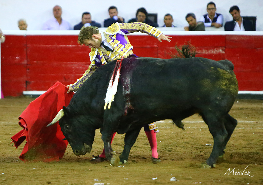 Querétaro, sábado 19 de octubre de 2019