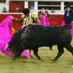 Querétaro, sábado 19 de octubre de 2019