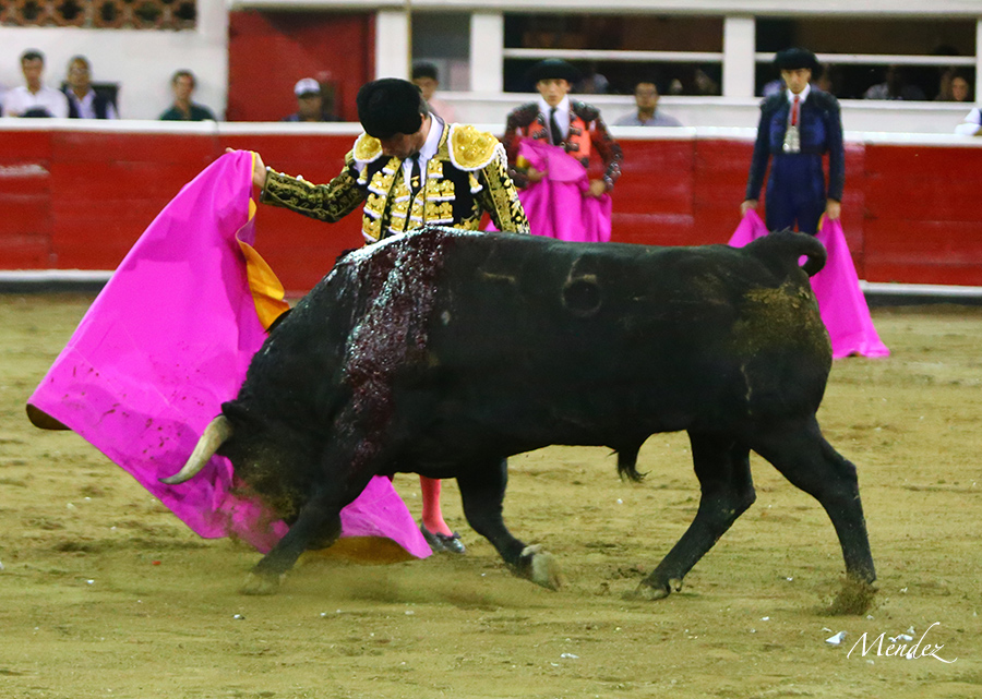 Querétaro, sábado 19 de octubre de 2019