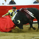 Querétaro, sábado 19 de octubre de 2019