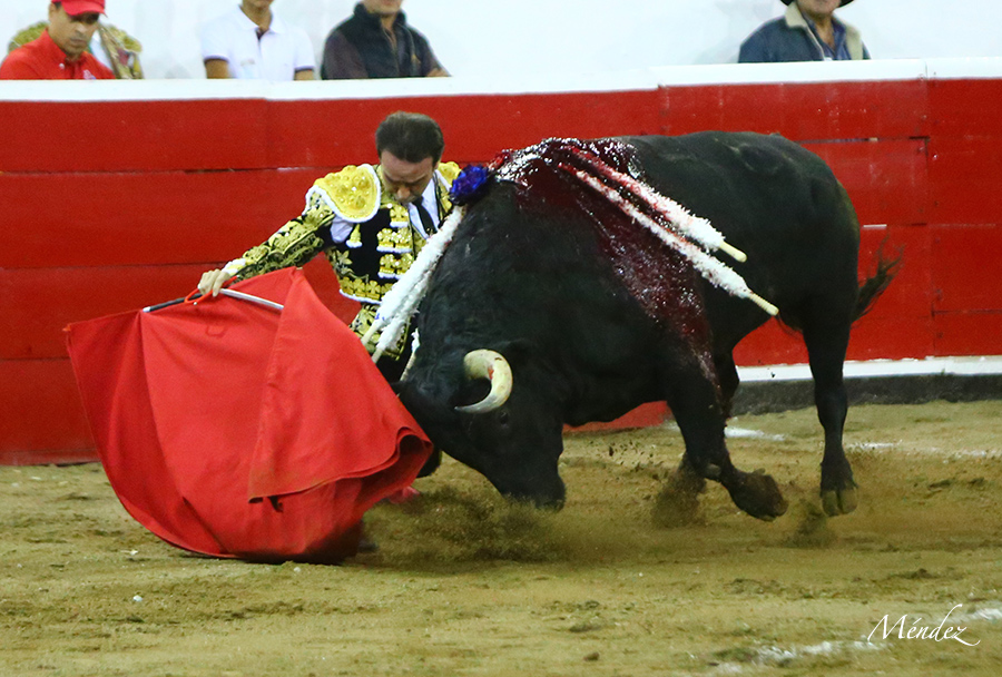 Querétaro, sábado 19 de octubre de 2019