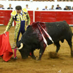 Querétaro, sábado 19 de octubre de 2019