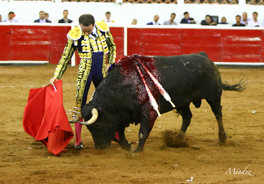 Querétaro, sábado 19 de octubre de 2019