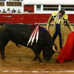 Querétaro, sábado 19 de octubre de 2019