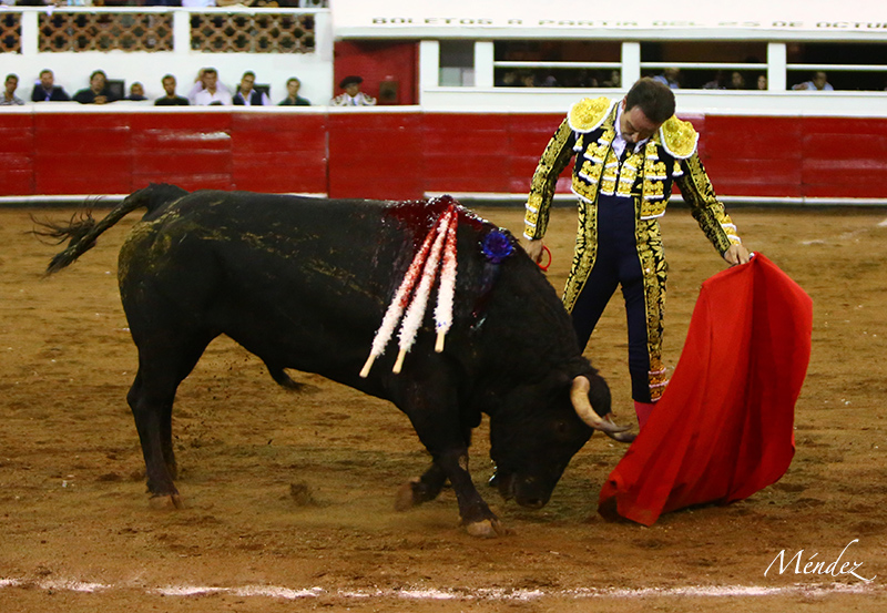 Querétaro, sábado 19 de octubre de 2019