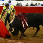 Querétaro, sábado 19 de octubre de 2019