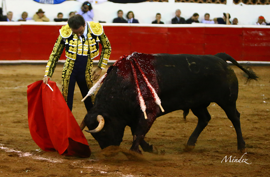 Querétaro, sábado 19 de octubre de 2019