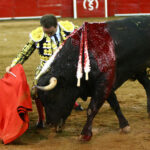 Querétaro, sábado 19 de octubre de 2019