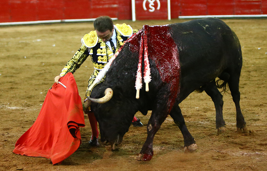 Querétaro, sábado 19 de octubre de 2019