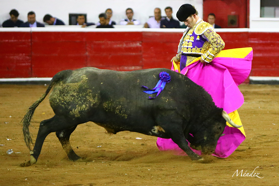 Querétaro, sábado 19 de octubre de 2019