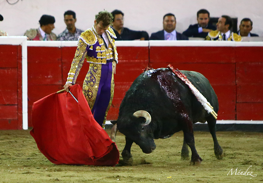 Querétaro, sábado 19 de octubre de 2019