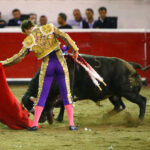 Querétaro, sábado 19 de octubre de 2019