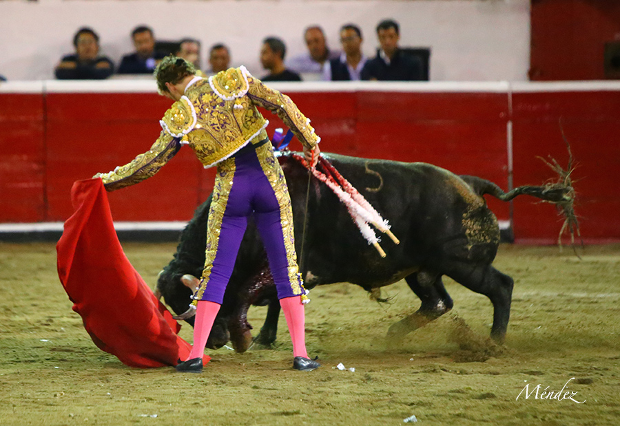 Querétaro, sábado 19 de octubre de 2019