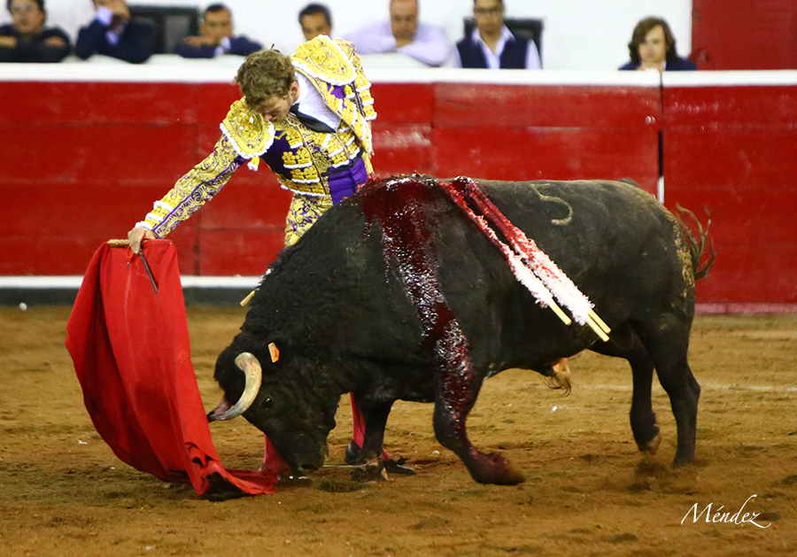 Querétaro, sábado 19 de octubre de 2019