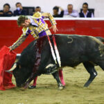 Querétaro, sábado 19 de octubre de 2019