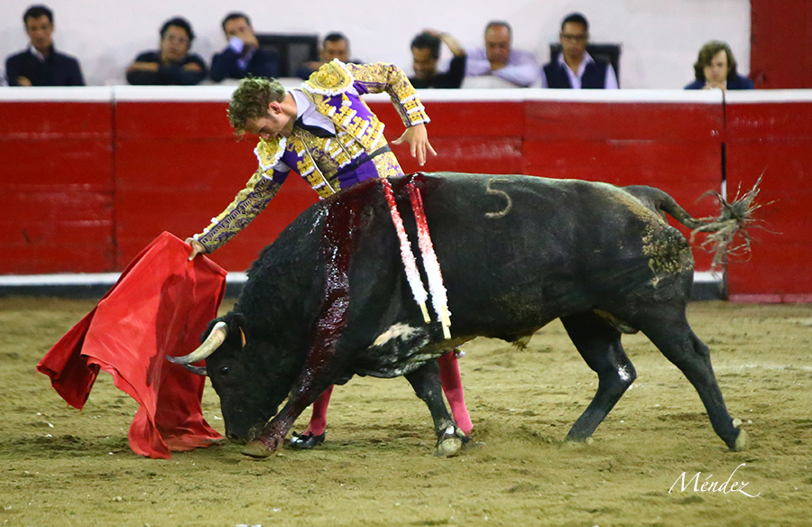 Querétaro, sábado 19 de octubre de 2019