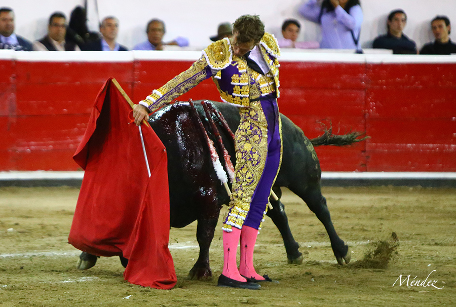 Querétaro, sábado 19 de octubre de 2019