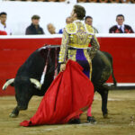 Querétaro, sábado 19 de octubre de 2019