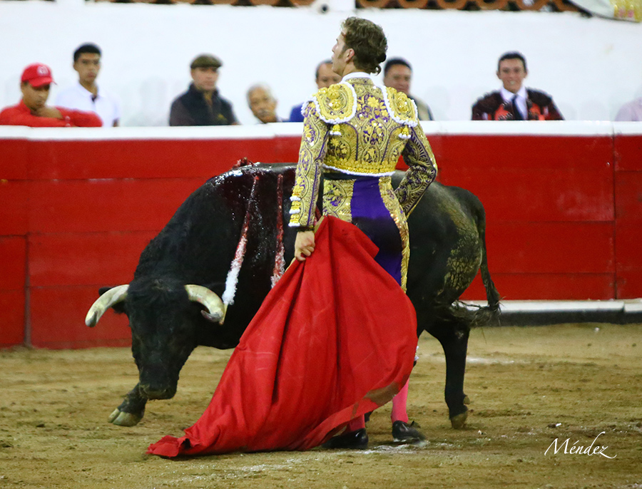 Querétaro, sábado 19 de octubre de 2019