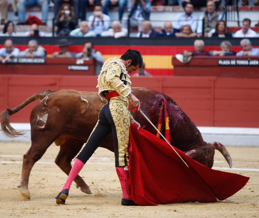 Jaén, sábado 19 de octubre de 2019