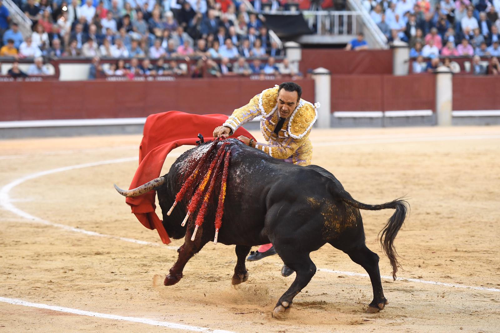 Madrid. Viernes, 4 de octubre de 2019