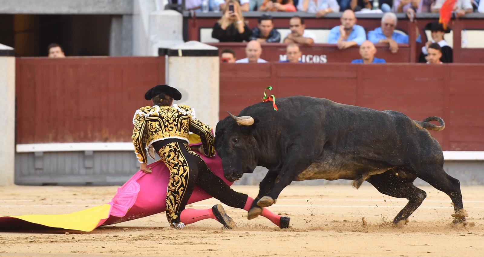 Madrid. Domingo, 6 de octubre de 2019.
