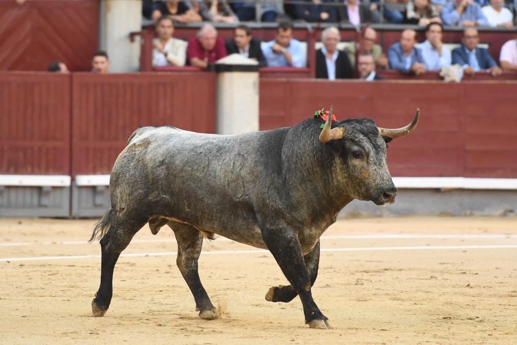Madrid. Domingo, 6 de octubre de 2019.