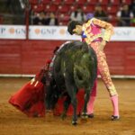 México, viernes 11 de octubre de 2019