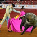 México, viernes 11 de octubre de 2019