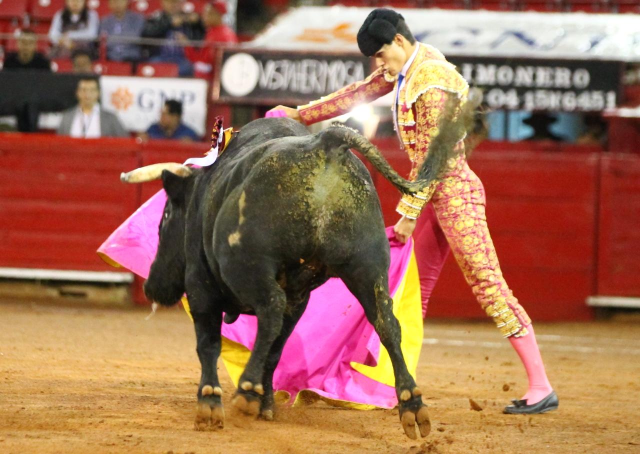 México, viernes 11 de octubre de 2019