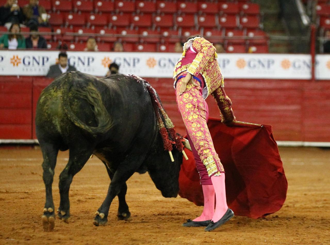 México, viernes 11 de octubre de 2019